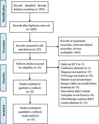 Efficacy and Safety of Astragalus-Containing Traditional Chinese Medicine Combined With Platinum-Based Chemotherapy in Advanced Gastric Cancer: A Systematic Review and Meta-Analysis